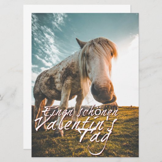 TA Valentinstag mit dampfendem Pferd (Vorne/Hinten)