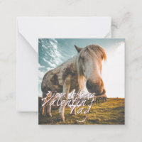 TA Valentinstag mit dampfendem Pferd