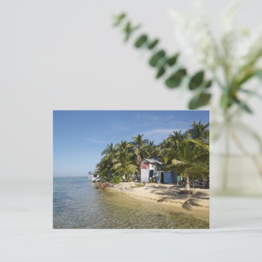 Tabak Caye, Belize Postkarte (Stehend Vorderseite)