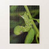 Tabak Hornworm Raupen-Tomate-Pflanzen-Puzzlespiel Puzzle (Vertikal)
