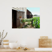 Tabak in den Heilstall Pinar del Rio Kuba Poster (Küche)