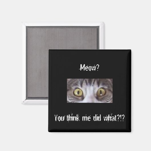 Tabak Katzenweite Augen Magnet (Vorderseite/Rückseite)