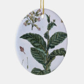 Tabak-Pflanze, Platte 7, 'von der Sammlung Keramik Ornament (Rechts)