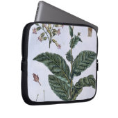 Tabak-Pflanze, Platte 7, 'von der Sammlung Laptopschutzhülle (Vorne Rechts)