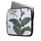 Tabak-Pflanze, Platte 7, 'von der Sammlung Laptopschutzhülle (Vorderseite Links)