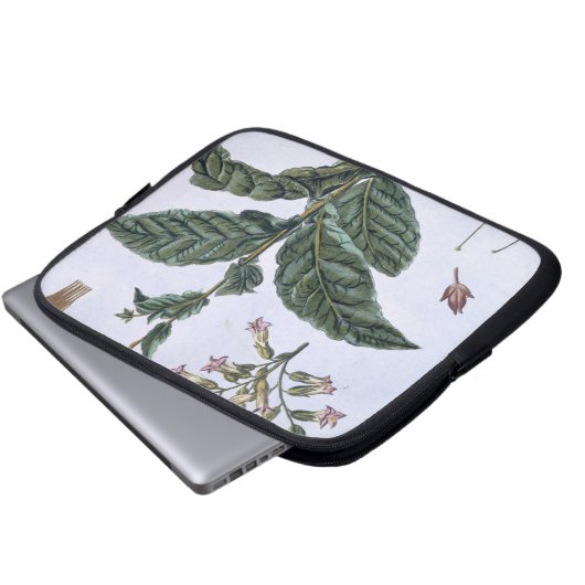 Tabak-Pflanze, Platte 7, 'von der Sammlung Laptopschutzhülle (Vorne Knopf)