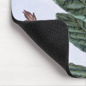 Tabak-Pflanze, Platte 7, 'von der Sammlung Mousepad (Ecke)