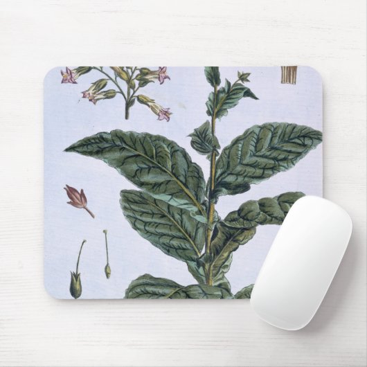 Tabak-Pflanze, Platte 7, 'von der Sammlung Mousepad (Mit Mouse)