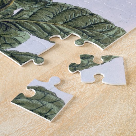 Tabak-Pflanze, Platte 7, 'von der Sammlung Puzzle (Seite)