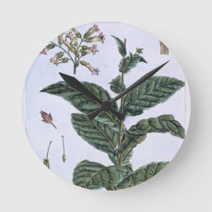 Tabak-Pflanze, Platte 7, 'von der Sammlung Runde Wanduhr