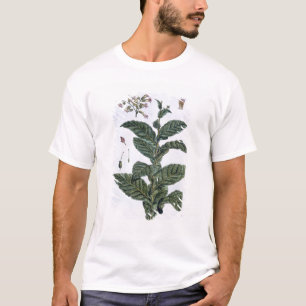 Tabak-Pflanze, Platte 7, 'von der Sammlung T-Shirt