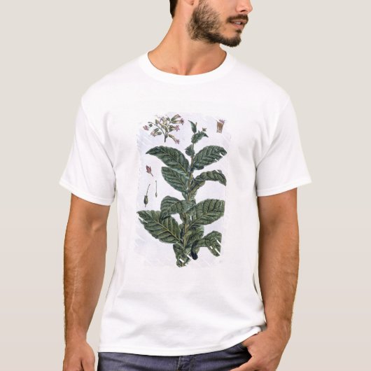 Tabak-Pflanze, Platte 7, 'von der Sammlung T-Shirt (Vorderseite)