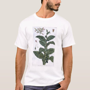 Tabak-Pflanze, Platte 7, 'von der Sammlung T-Shirt
