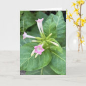 Tabakblüten Karte (Gelbe Blume)