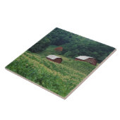 Tabakernte und Paare der roten Tabakscheunen nahe Fliese (Seite)