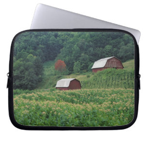 Tabakernte und Paare der roten Tabakscheunen nahe Laptopschutzhülle