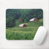 Tabakernte und Paare der roten Tabakscheunen nahe Mousepad (Mit Mouse)