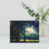 Tabaret Hall Lawn Postkarte (Stehend Vorderseite)