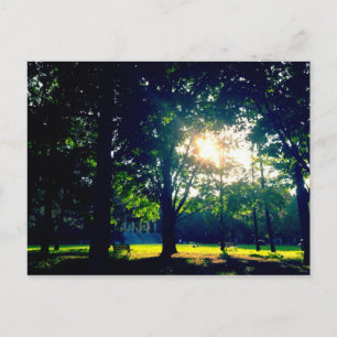 Tabaret Hall Lawn Postkarte