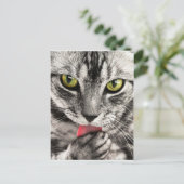 tabby-114782_1280.jpg postkarte (Stehend Vorderseite)