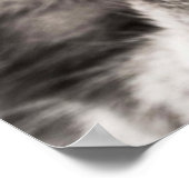 tabby-114782 Tabby Katze nah Portraitfelin und Poster (Ecke)