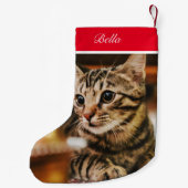 Tabby American Shorthair Custom Kleiner Weihnachtsstrumpf (Rückseite)