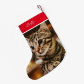 Tabby American Shorthair Custom Kleiner Weihnachtsstrumpf (Rückseite (Hängend))