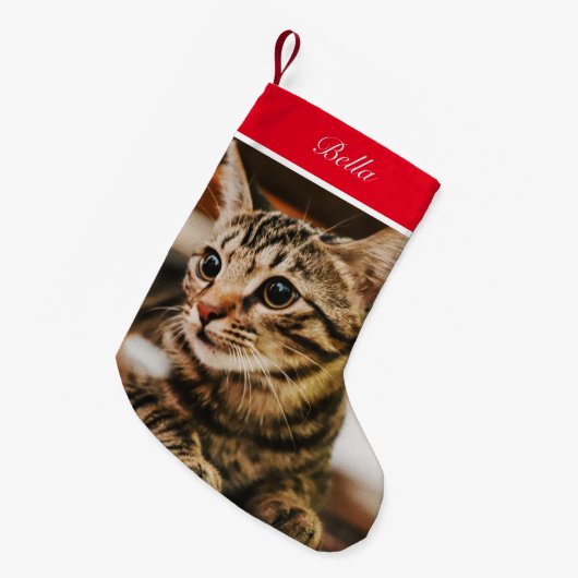 Tabby American Shorthair Custom Kleiner Weihnachtsstrumpf (Vorderansicht (hängend))
