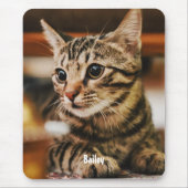 Tabby American Shorthair Custom Mousepad (Vorne)
