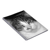 Tabby-and-White-Cat-Notebook Notizblock (Rechte Seite)