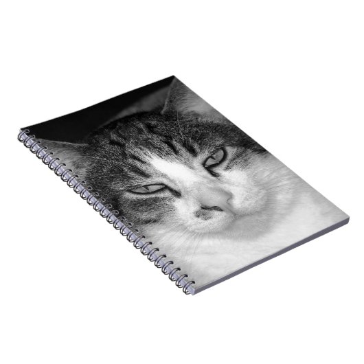 Tabby-and-White-Cat-Notebook Notizblock (Rechte Seite)