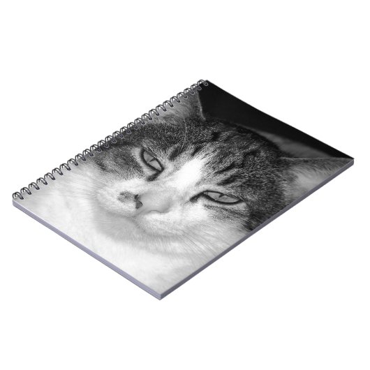 Tabby-and-White-Cat-Notebook Notizblock (Linke Seite)