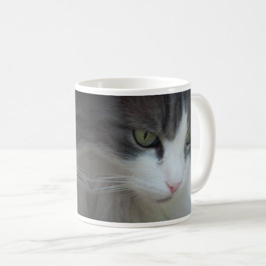 Tabby-and-White Cat Staring Kaffeetasse (VorderseiteRechts)