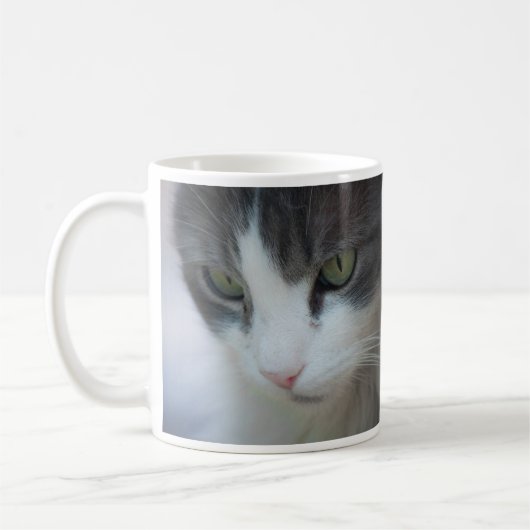 Tabby-and-White Cat Staring Kaffeetasse (Links)