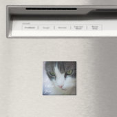 Tabby-and-White Cat Staring Magnet (In Situ (Geschirrspüler))