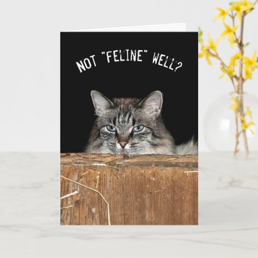 Tabby Barn Cat in Hay Loft Karte (Gelbe Blume)