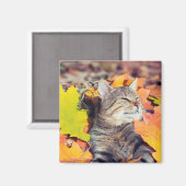 Tabby Basking in den Foliage Magnet (Vorderseite/Rückseite)