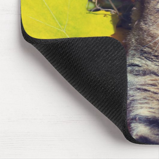 Tabby Basking in den Foliage Mousepad (Ecke)