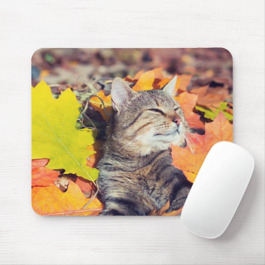 Tabby Basking in den Foliage Mousepad (Mit Mouse)