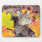 Tabby Basking in den Foliage Mousepad (Vorne)