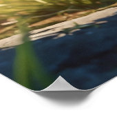 *~* TABBY Beobachtung Kätzchen 5:4 Feline Kitten Poster (Ecke)