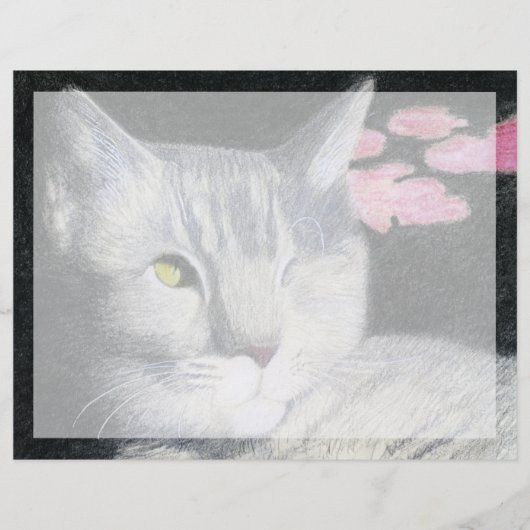 Tabby Cat (Vorderseite)