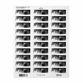 Tabby-Cat-Adressetiketten (Vorne)