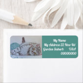 Tabby Cat Aquamarin Playing Wool Rücksendeadressen (Insitu)