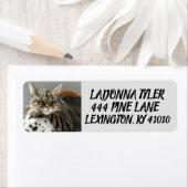 TABBY CAT AUF COUCH-RÜCKSENDEADRESSEN-AUFKLEBERN (Insitu)