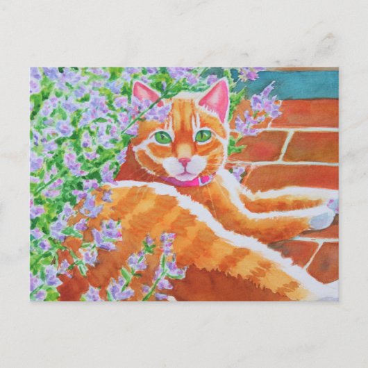 Tabby Cat auf dem Gartenweg Postkarte (Vorderseite)
