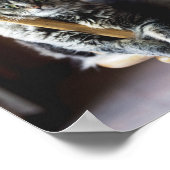 Tabby Cat auf Holz Essstuhl Foto drucken Poster (Ecke)