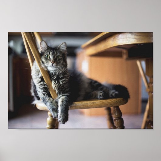 Tabby Cat auf Holz Essstuhl Foto drucken Poster (Vorne)