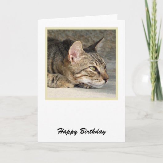 Tabby Cat Birthday Card Karte (Vorderseite)