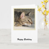 Tabby Cat Birthday Card Karte (Gelbe Blume)